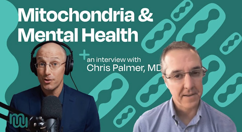 Brain Energy, Mitochondria and Mental Health – Dr. Chris Palmer presents The  Metabolic Mind (Baszucki Group) Bipolarcast Episode 9 with host Bret Scher, MD